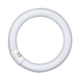 Sijalka Osram L 32W/865 C